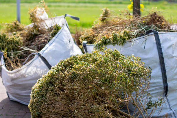 Recycling Services for Junk in Albers, IL